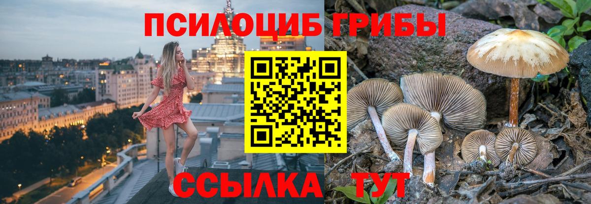 Псилоцибиновые грибы MAGIC MUSHROOMS Карачаевск
