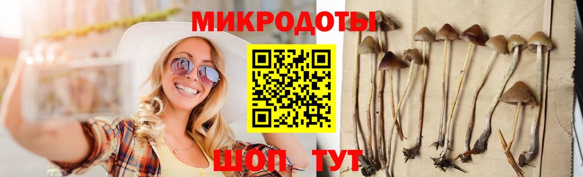 Карачаевск  Псилоцибиновые грибы прущие грибы  Вход с VPN  Галлюциногенные грибы Psilocybine cubensis 